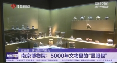 博物南京有看头 南京博物院：5000年文物里的“显眼包”