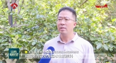 江蘇:創新“物質+服務” 讓社會救助更有溫度
