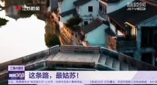 江海共潮生 這條路,最姑蘇!
