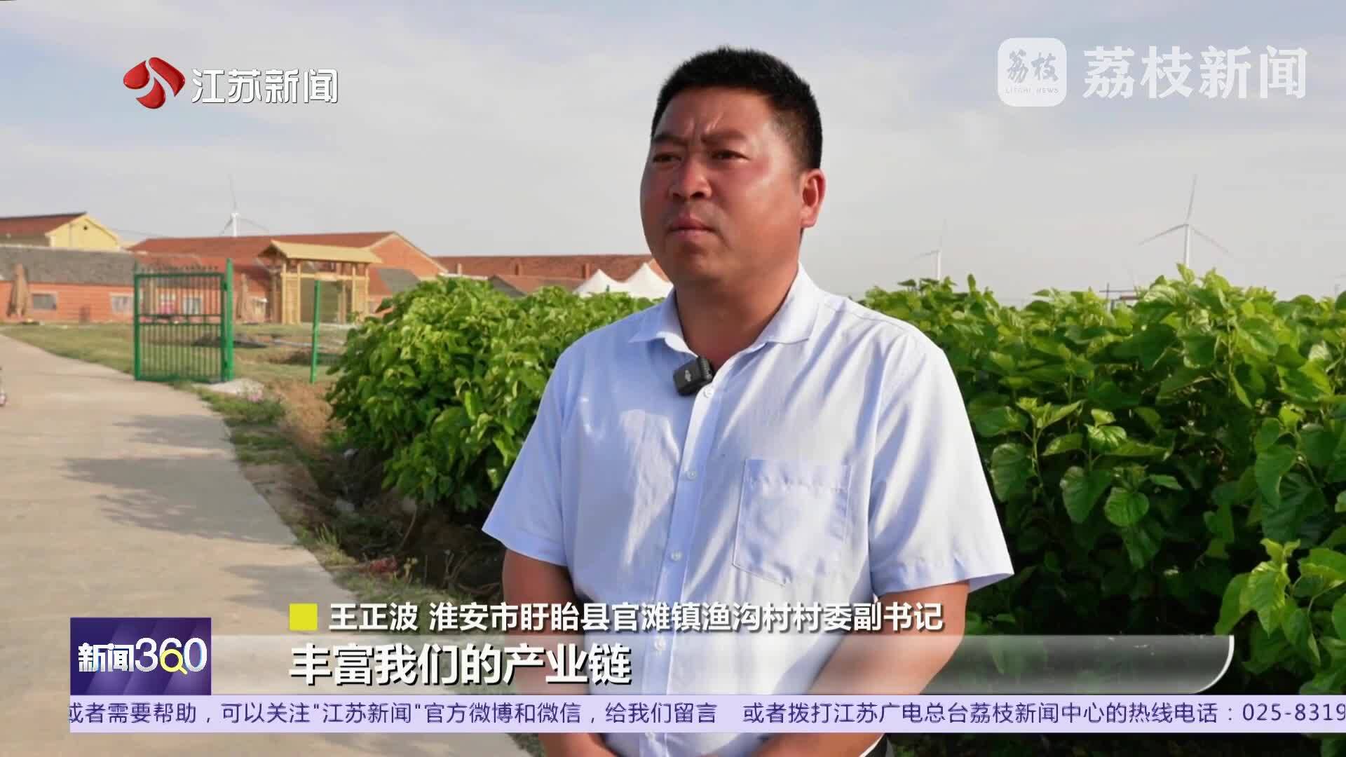 夏日好“丰”景 淮安：“葚”是甜蜜好“丰”景 果香四溢醉游人