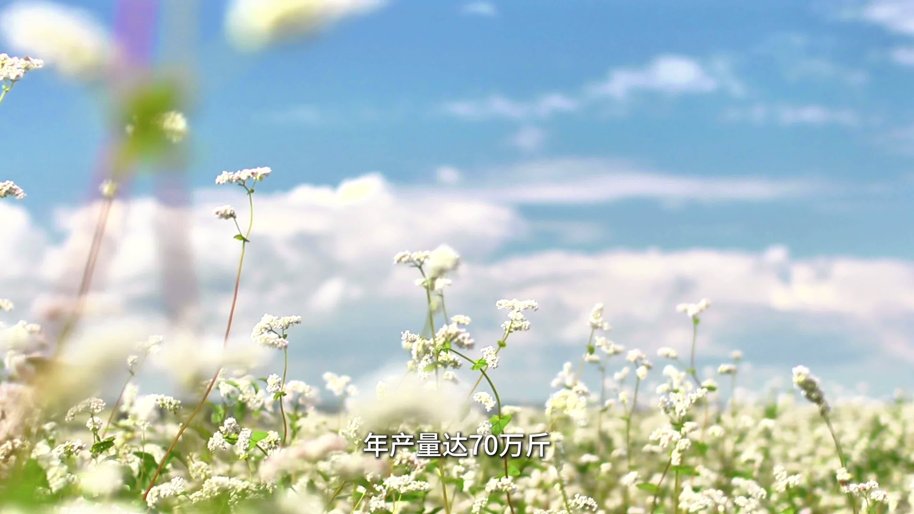 11月11日 (1) (1)