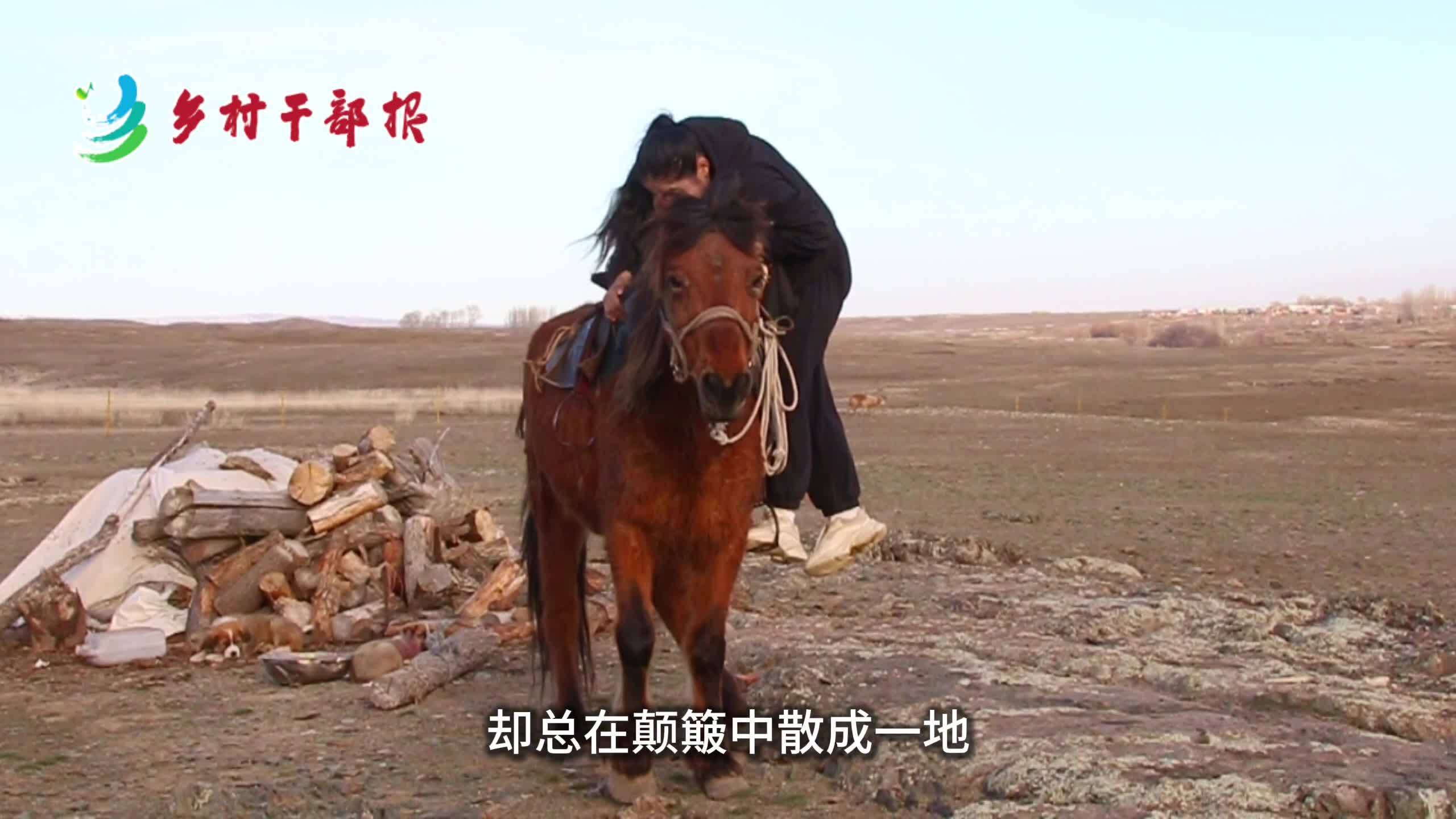 我在阿勒泰当选调生0618