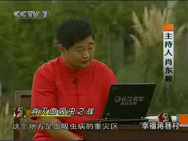 乡约幸福蒋巷村
