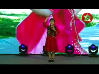 017 沈紫馨 《天山的女孩儿一朵花》
